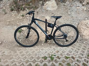 Lombardo Amantea 100 tg.S (46)