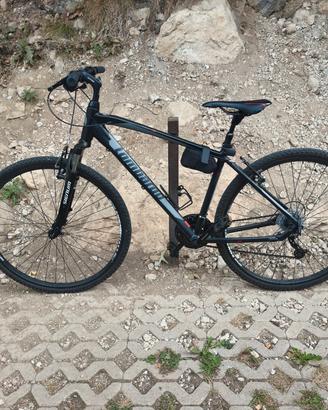 Lombardo Amantea 100 tg.S (46)
