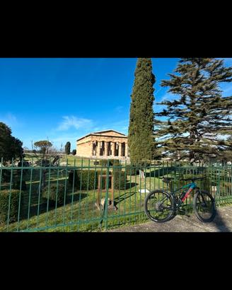 Mtb trek marlin 7 come nuova 650 trattabili