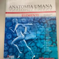 Libro: "Anatomia umana" 9788870515411