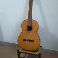 Chitarra polverini strumenti musicali