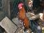 Immagine 4