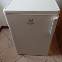 frigo 