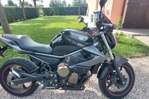 Yamaha XJ 600 - 2009