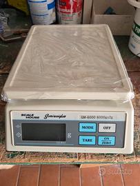 bilancia elettronica