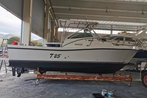 Tuccoli T25 2 x 125 CV + Mot Elettr.Garmin