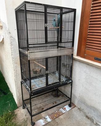 Voliera per uccelli