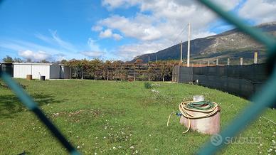 terreno agricolo 