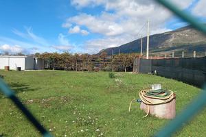 terreno agricolo 