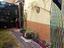 Immagine 25