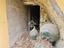 Immagine 10