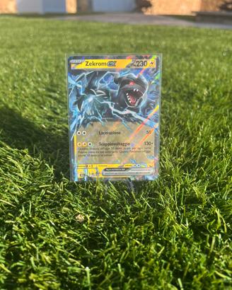 Zekrom ex