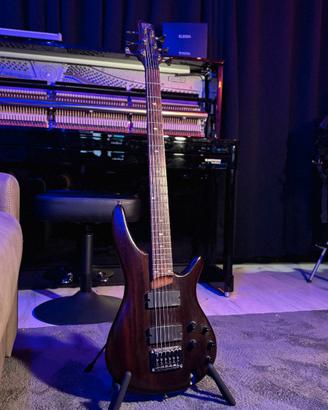 Chitarra Baritona Ibanez SRC6