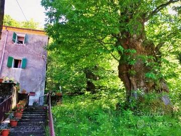 Casa Indipendente-Foresta incantata