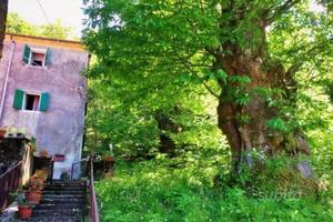 Casa Indipendente-Foresta incantata