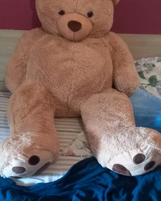 peluche orso gigante