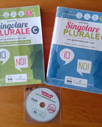 Singolare Plurale, una grammatica per tutti 