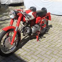 Aermacchi ala verde 250