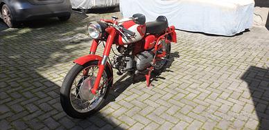 Aermacchi ala verde 250