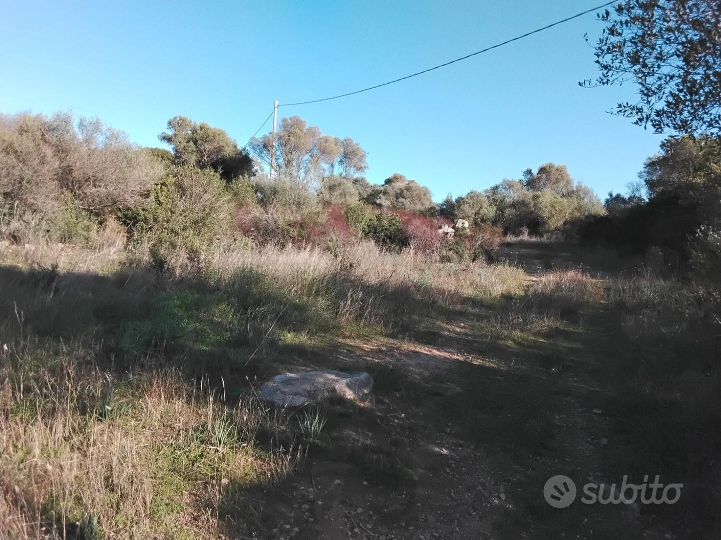 Terreno in Arzachena ( Olbia tempio) - Altro