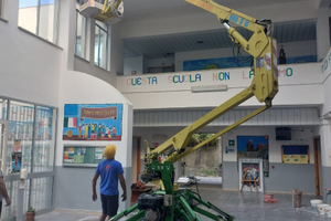 Piattaforma ragno gommato