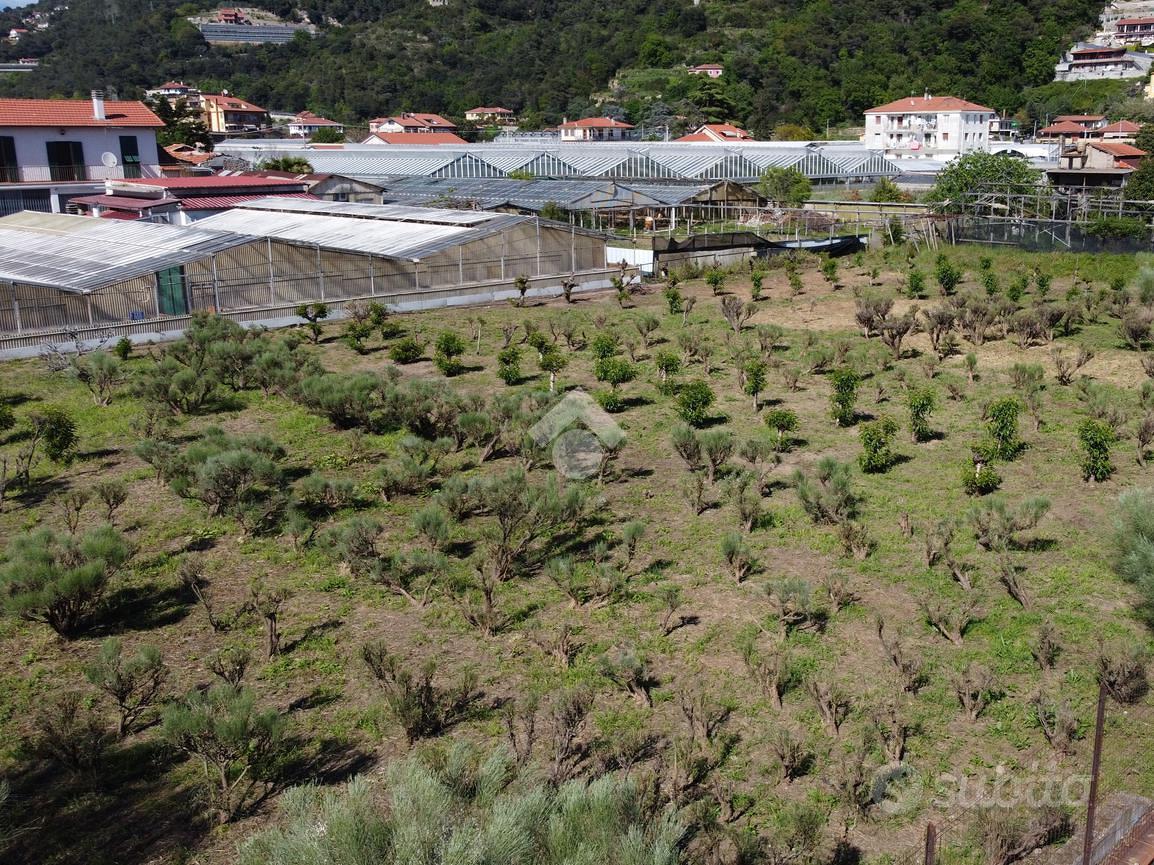 TER. RESIDENZIALE A CAMPOROSSO - Altro