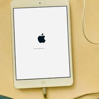 Apple I Pad Mini 2