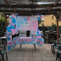allestimento completo per Gender Reveal