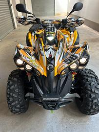Can am renegade 500