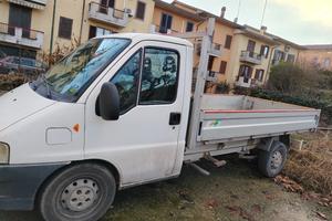 furgone cassone aperto 