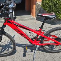 bicicletta SMP