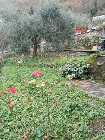 Sori 2 camere e giardino