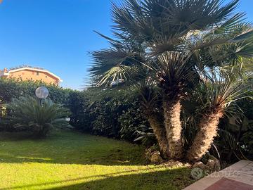 Marino Residenziale su due piani giardino 200 mq