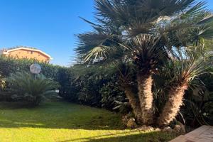 Marino Residenziale su due piani giardino 200 mq