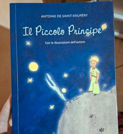 Piccolo Principe 