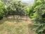 Immagine 22