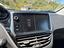 Immagine 13