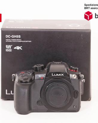 Panasonic Lumix DC-GH5S
