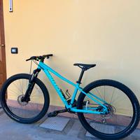 Bici mountain bike Specialized