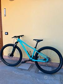 Bici mountain bike Specialized