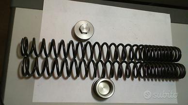 MOLLE SOSPESIONI HONDA CB 600 F HORNET USATE