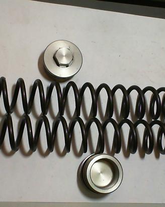 MOLLE SOSPESIONI HONDA CB 600 F HORNET USATE