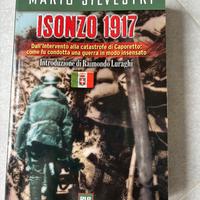 “Isonzo 1917” di Mario Silvestri
