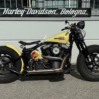 H-D SPECIAL base Cross Bones, TRATTABILE