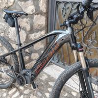 bicicletta elettrica 