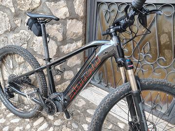 bicicletta elettrica 