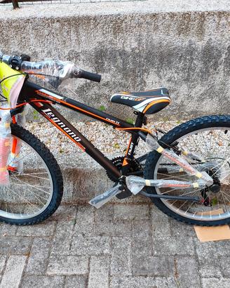 Bicicletta ragazzo 24 "