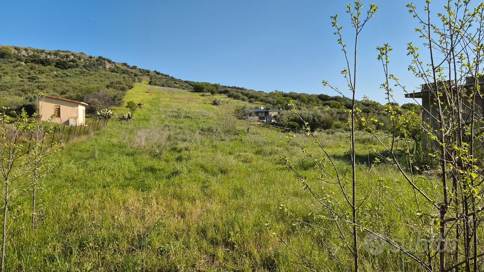 Terreno agricolo Bagheria Ter/72 - Vista 3