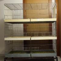 Tre gabbie tipo Molinari