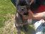Immagine 2